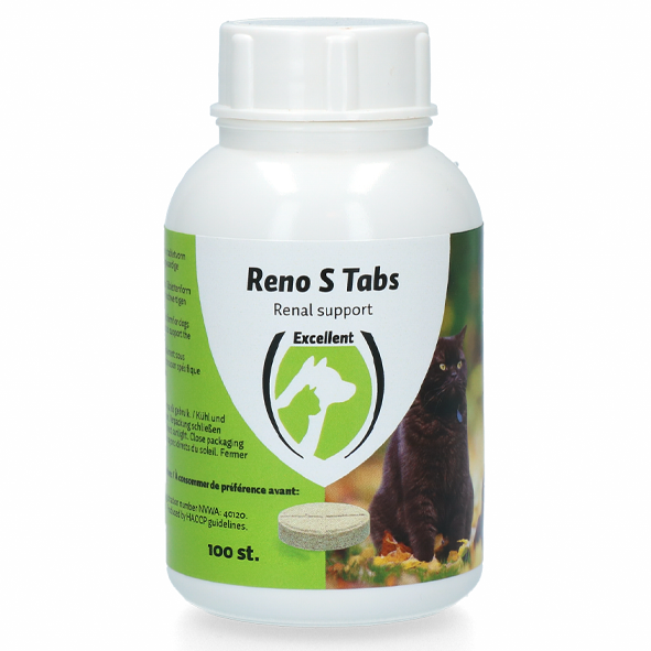 Reno S tabs kat en hond