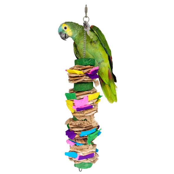 Feather World Mixed grill