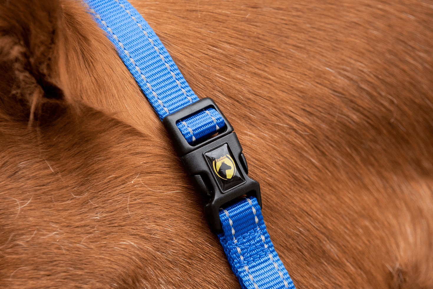 Excellent Horse Superior Halster Blauw - Afbeelding 3