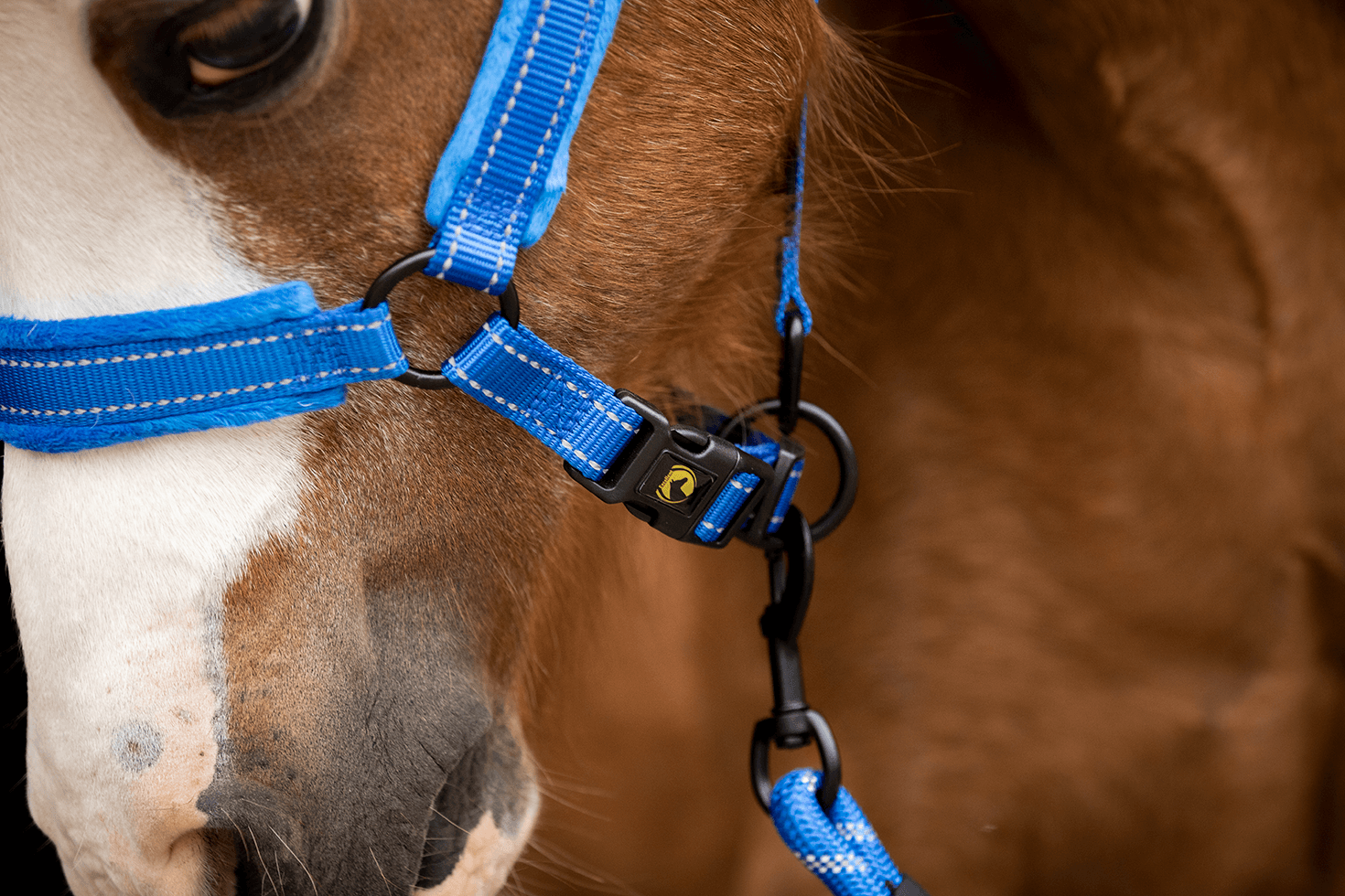 Excellent Horse Superior Halster Blauw - Afbeelding 4