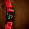 Excellent Horse Superior Halster Rood - Afbeelding 3