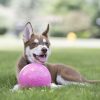 Jolly Ball Bounce-n Play Roze (Kauwgumgeur) - Afbeelding 3