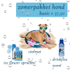 Zomerpakket hond basic - Afbeelding 2