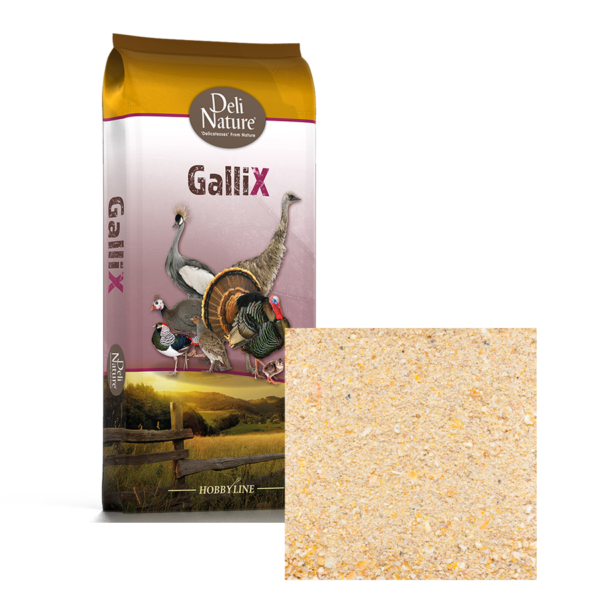Gallix Ornamental Start meel 20kg