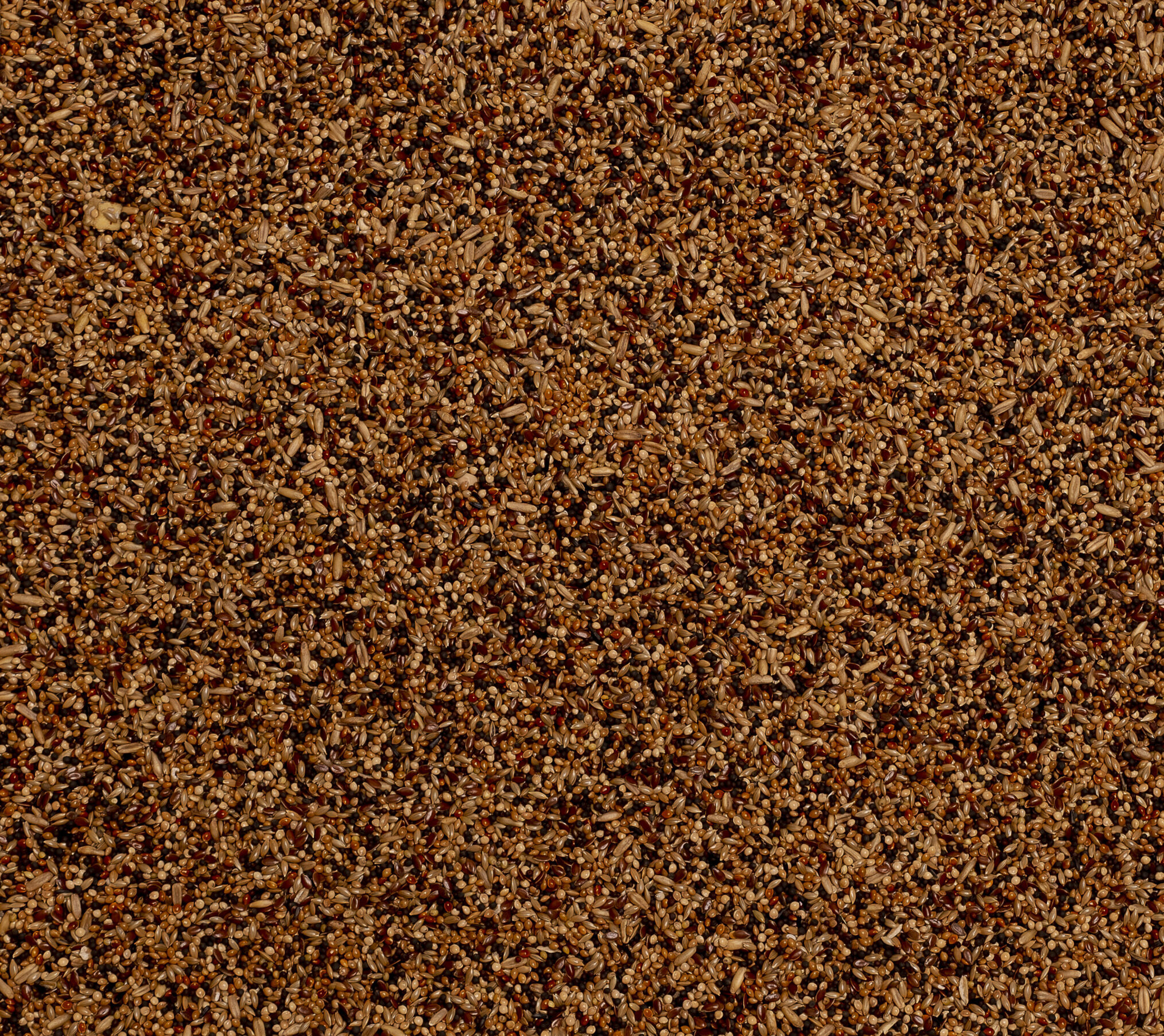 Premium Volière 4kg - Afbeelding 3