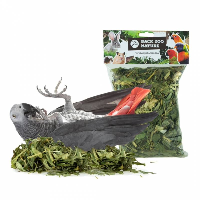 Back Zoo Nature Corn Husk - Afbeelding 5