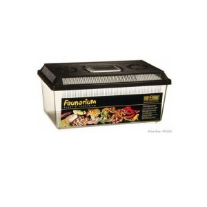 Faunarium Flat Medium