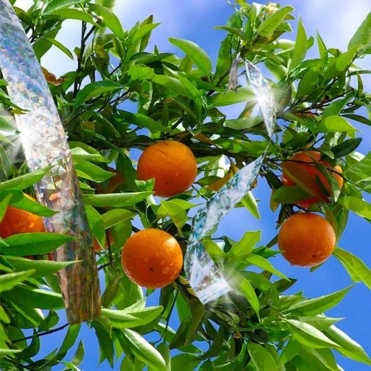 Afweerlint - Vogelverjager - Afbeelding 3