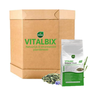 Vitalbix Balance+ Muesli XL Box