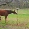 Liksteenhouder Paal - Afbeelding 5