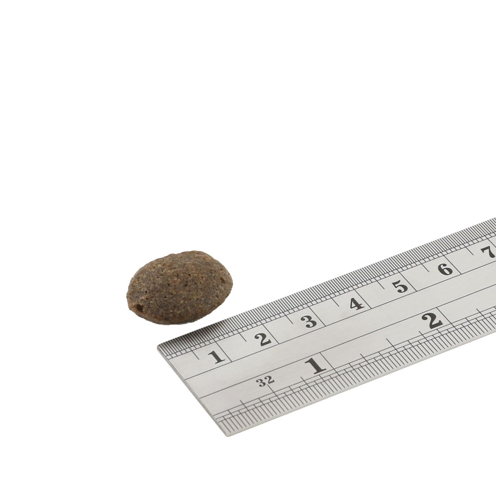 Finest Zalm Adult - Afbeelding 3