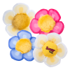 Daisy's Flower Tops - Afbeelding 2