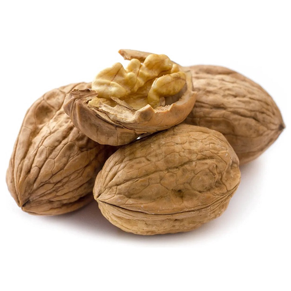 Walnoten in dop