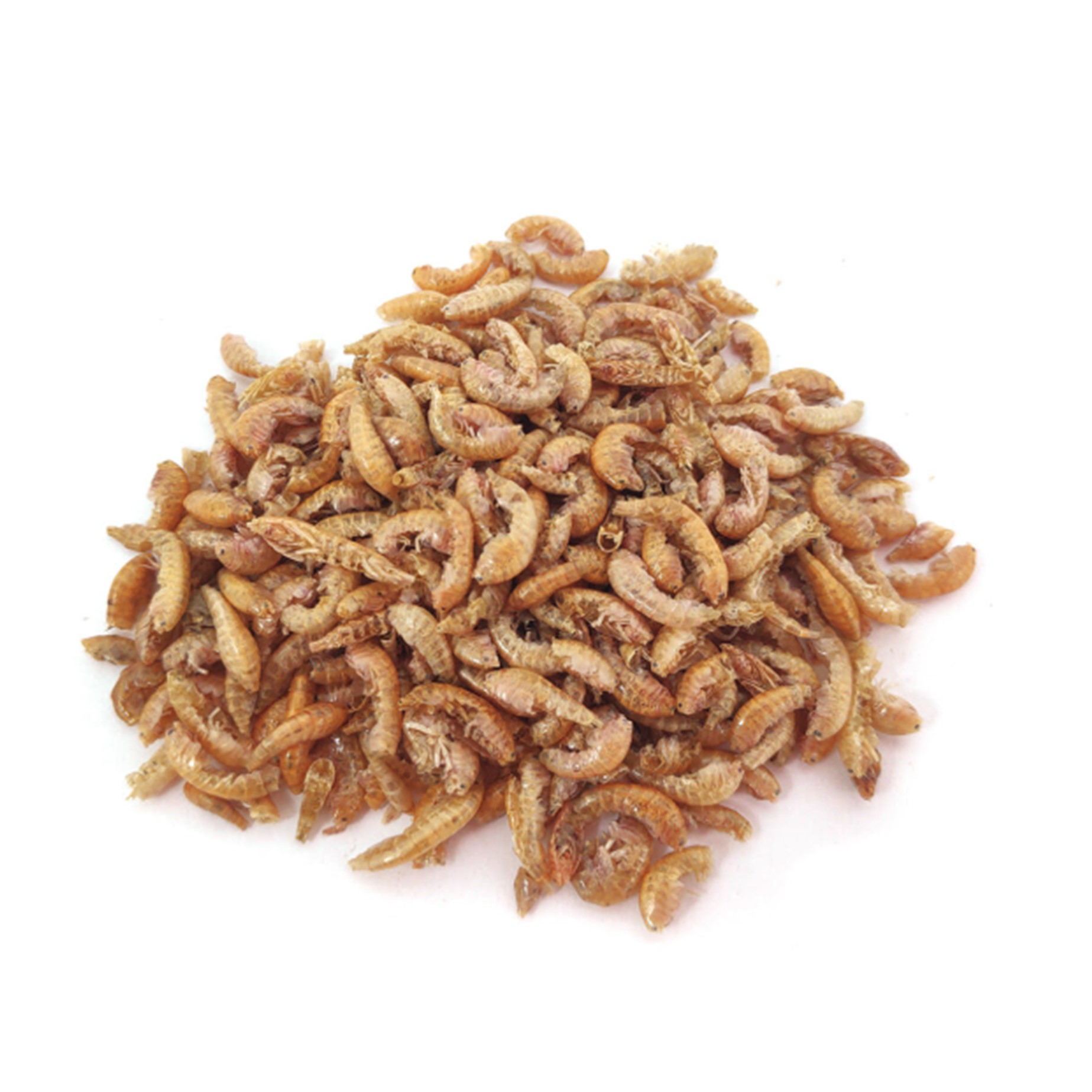 Gammarus Gedroogd