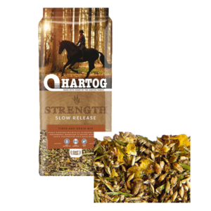 Hartog Strength
