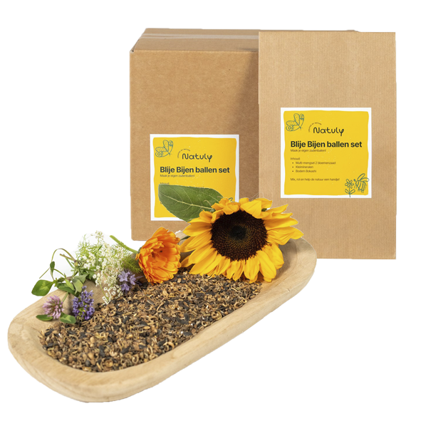 Blije Bijen Ballen Set