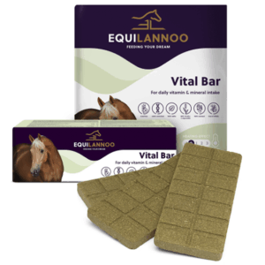 Equilannoo Vital Bar