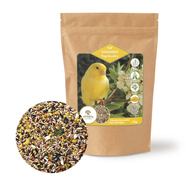 Utopia Top Quality Kanarie